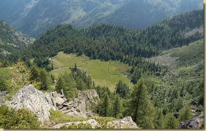 vista sulla piana dell'Alpe Larecchio superiore...