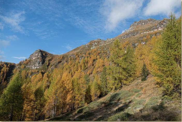 autunno in Val Divedro...