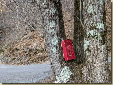 cassetta postale nel bosco...