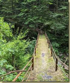 ponte sul Chiappa, il percorso del Sentiero delle Felci...